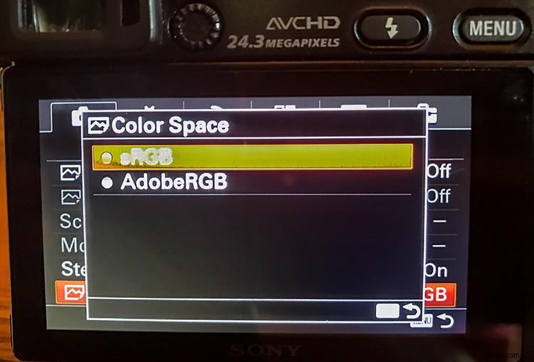 Adobe RGB vs sRGB: Which Color Space is Best for Your Photography?