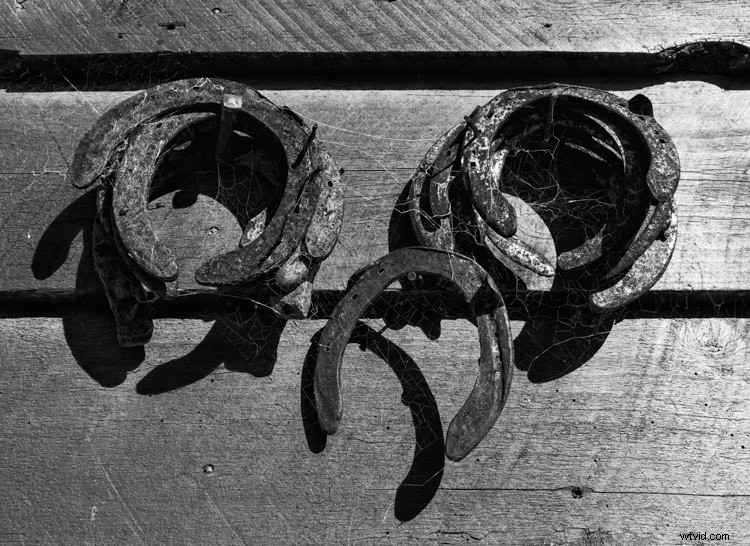 9 Expert Tips to Master Seeing in Monochrome Photography