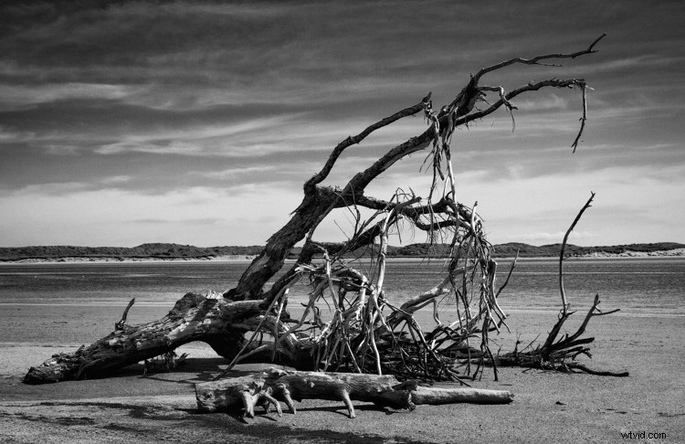 9 Expert Tips to Master Seeing in Monochrome Photography