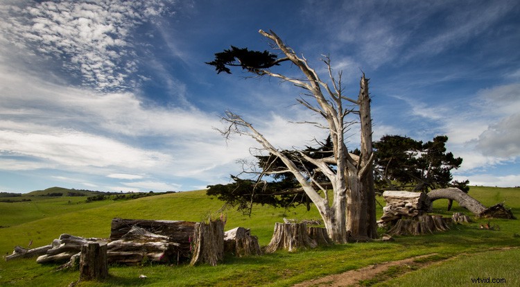 9 Expert Tips to Master Seeing in Monochrome Photography