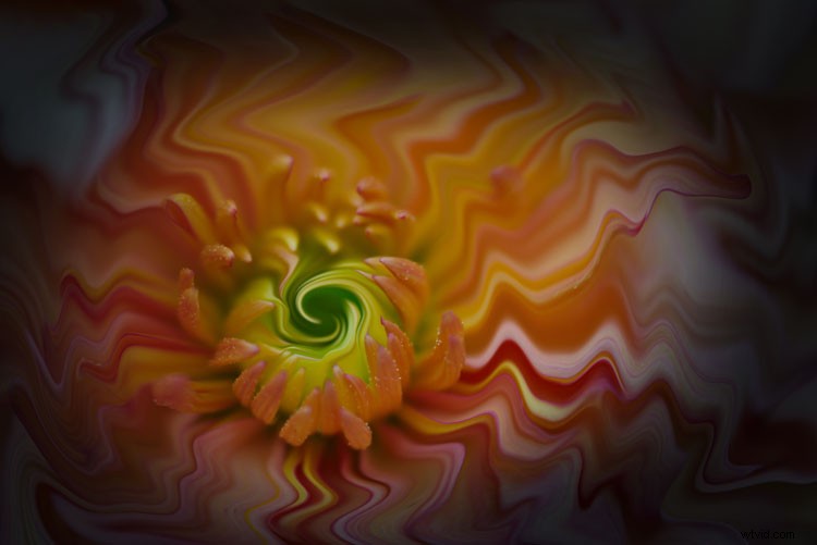 ACDSee Photo Studio Ultimate 2018 for Windows: Powerful Features & No Subscription Required