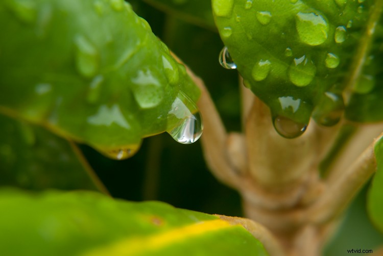 Expert Tips to Capture Stunning Photos with Your Old Camera