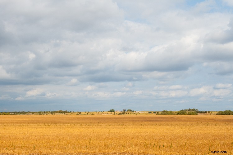 Expert Tips to Capture Stunning Photos with Your Old Camera