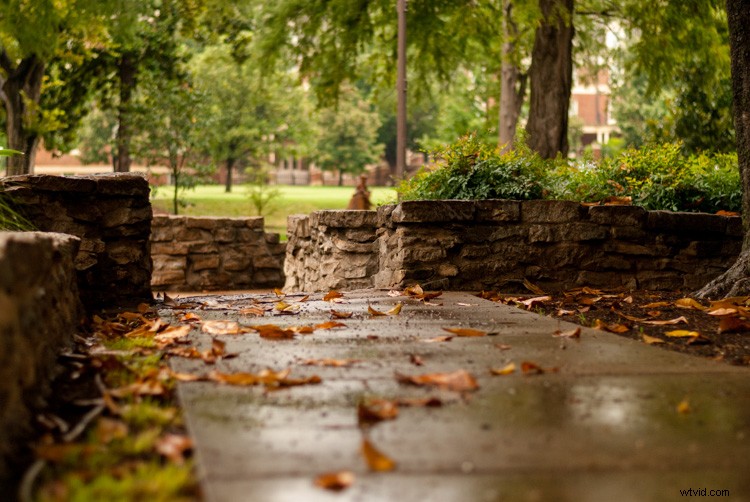 Expert Tips to Capture Stunning Photos with Your Old Camera