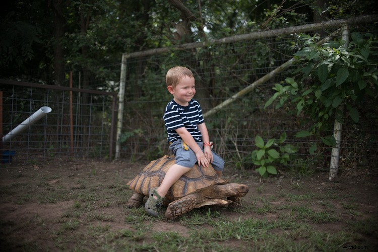 Master Image Cropping: Expert Tips for Superior Photo Composition