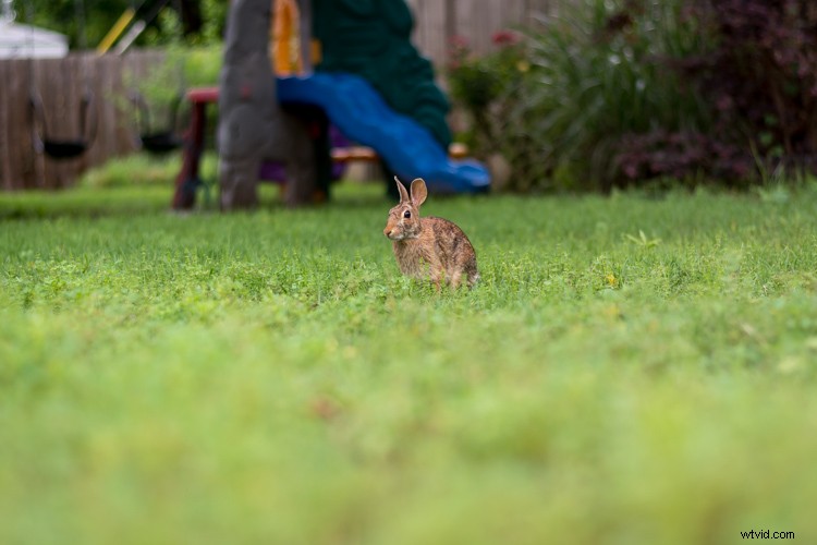 Master Image Cropping: Expert Tips for Superior Photo Composition