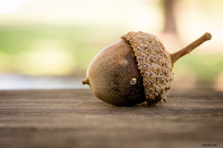 Master Image Cropping: Expert Tips for Superior Photo Composition