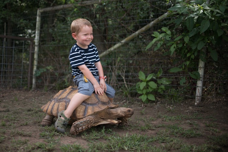 Master Image Cropping: Expert Tips for Superior Photo Composition