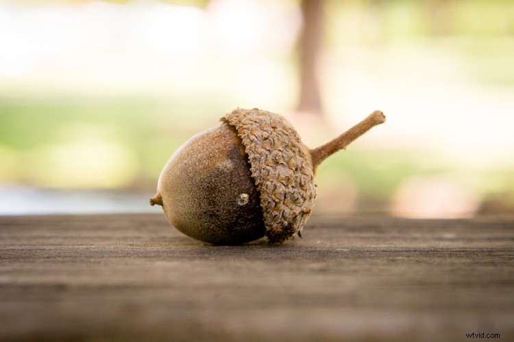 Master Image Cropping: Expert Tips for Superior Photo Composition