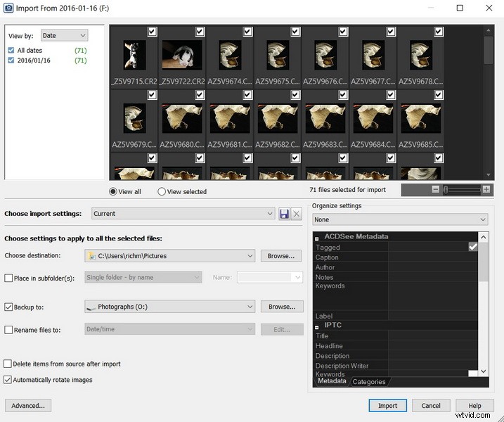 ACDSee vs. Adobe Bridge: Why I Prefer ACDSee for Image Culling and Management
