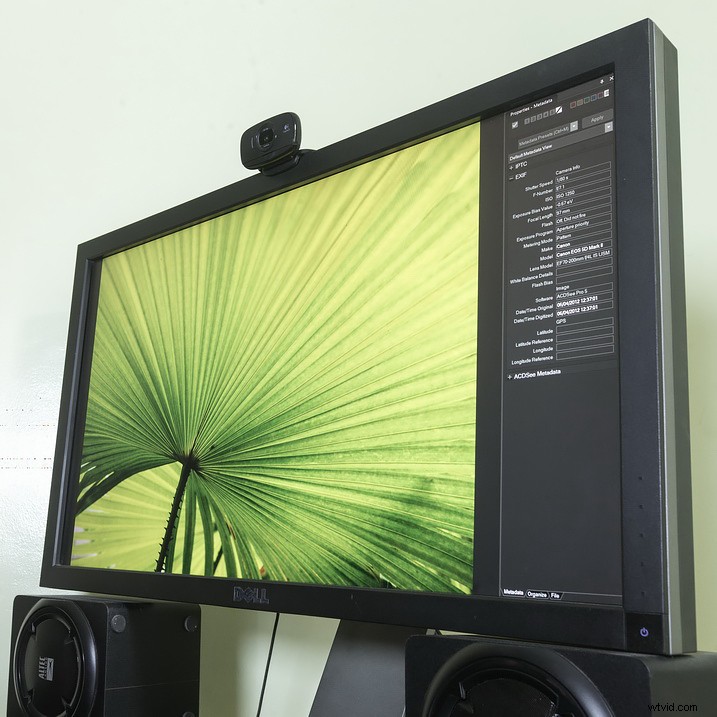 ACDSee vs. Adobe Bridge: Why I Prefer ACDSee for Image Culling and Management