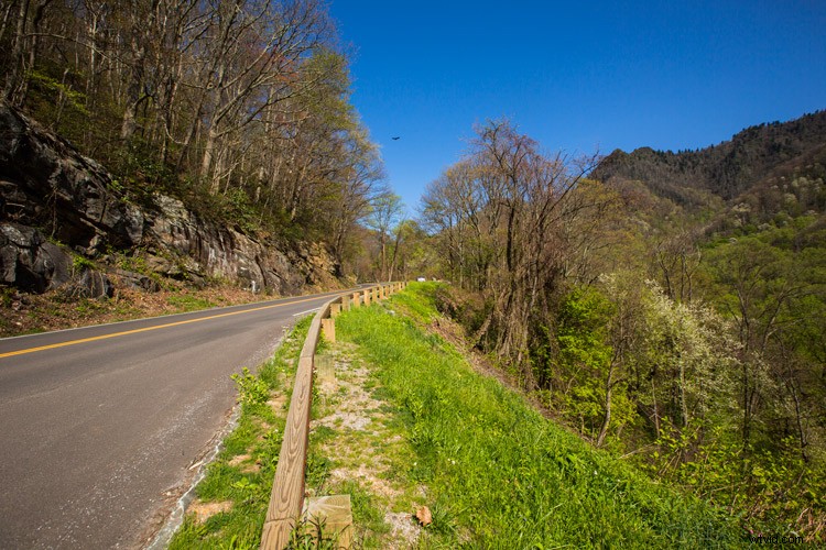 Auto White Balance in Photography: Yay or Nay? Pros, Cons & Expert Tips