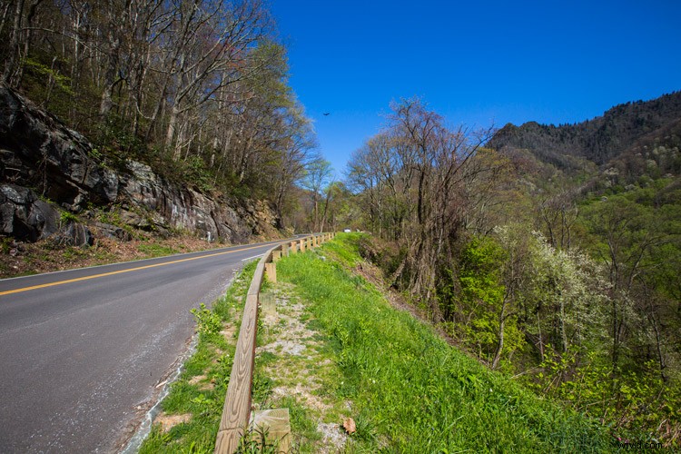 Auto White Balance in Photography: Yay or Nay? Pros, Cons & Expert Tips