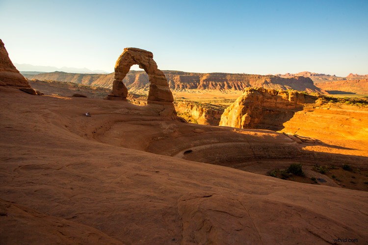 Auto White Balance in Photography: Yay or Nay? Pros, Cons & Expert Tips