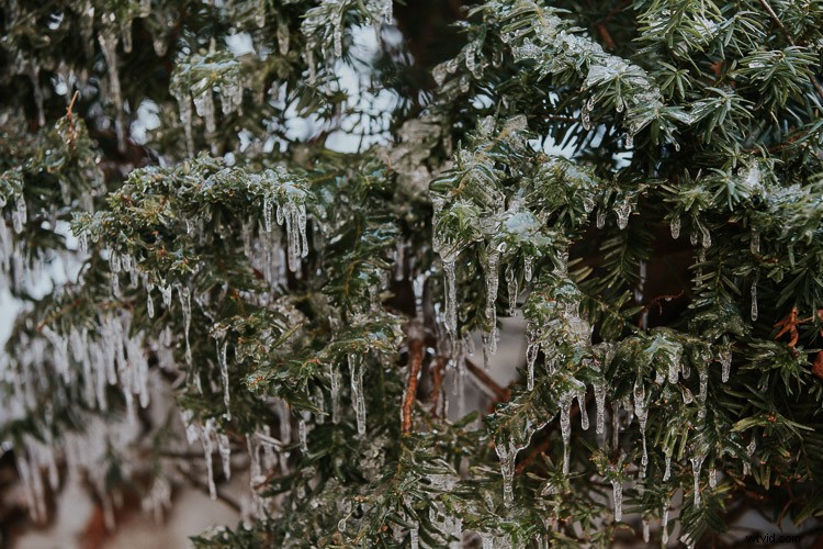 How to Capture Stunning Photos in Boring Everyday Places: Pro Tips