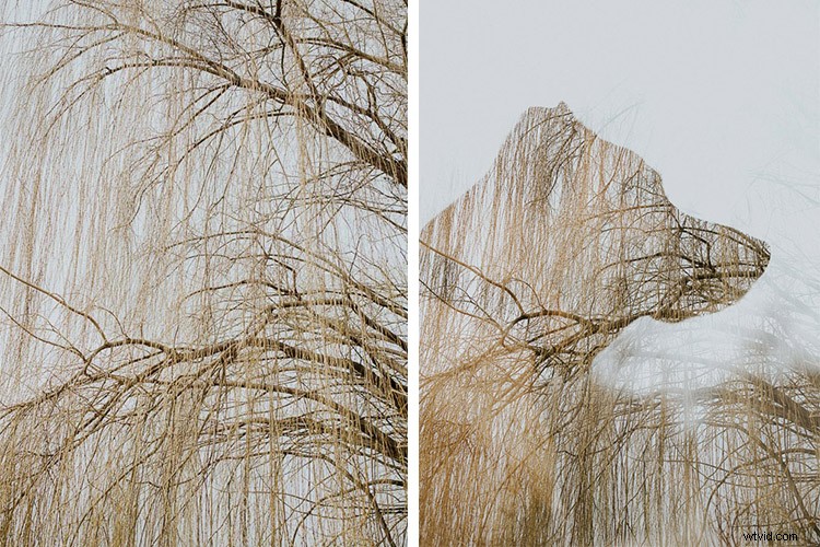 How to Capture Stunning Photos in Boring Everyday Places: Pro Tips