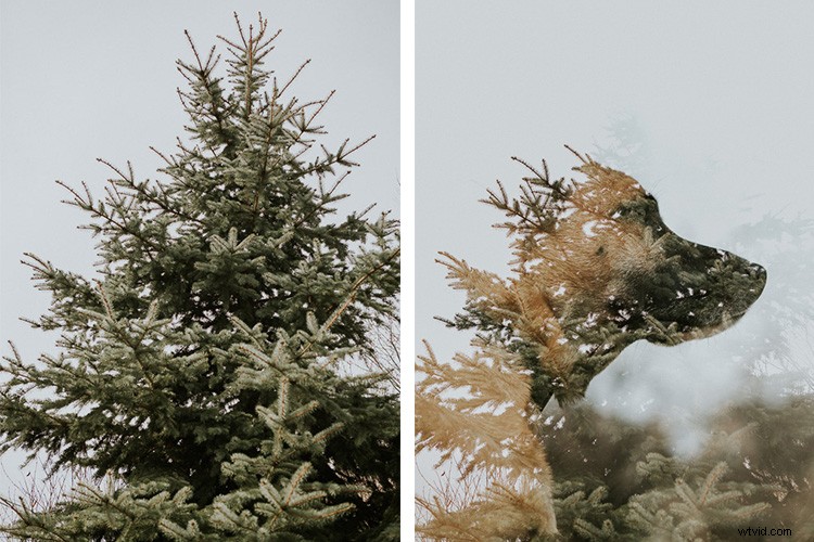 How to Capture Stunning Photos in Boring Everyday Places: Pro Tips