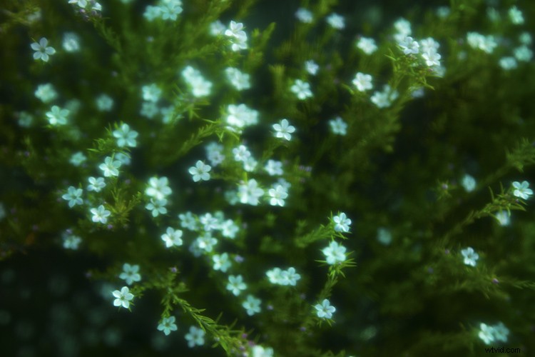 Create Stunning Color Filter Effects with Everyday Plastic Wrap