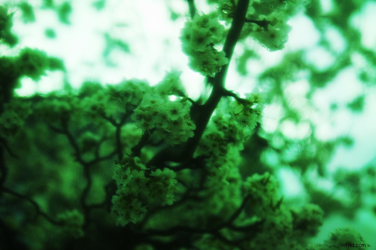 Create Stunning Color Filter Effects with Everyday Plastic Wrap