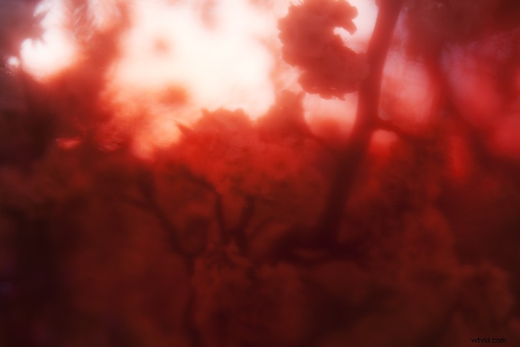 Create Stunning Color Filter Effects with Everyday Plastic Wrap