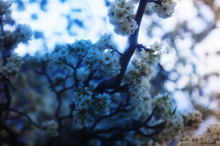 Create Stunning Color Filter Effects with Everyday Plastic Wrap