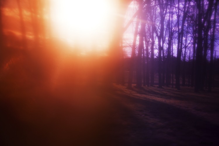 Create Stunning Color Filter Effects with Everyday Plastic Wrap