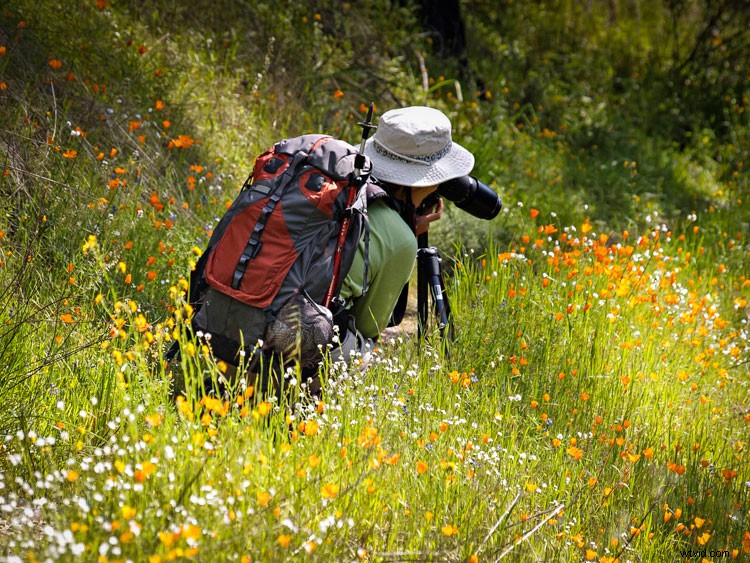 Discover the Surprising Benefits of Mastering Digital Photography