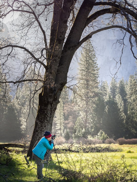 Discover the Surprising Benefits of Mastering Digital Photography