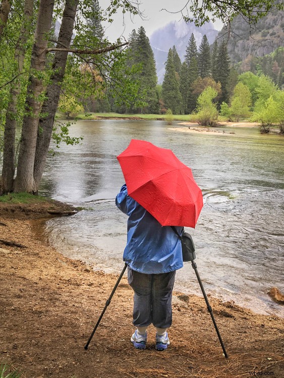 Discover the Surprising Benefits of Mastering Digital Photography