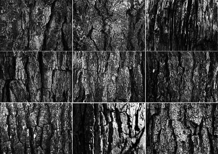 Escape Your Photography Rut: How to Master Themed Photo Walks