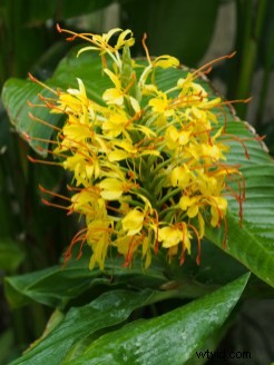 Embrace Photo Post-Processing: Shooting is Just the First Step to Stunning Images