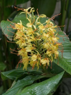 Embrace Photo Post-Processing: Shooting is Just the First Step to Stunning Images