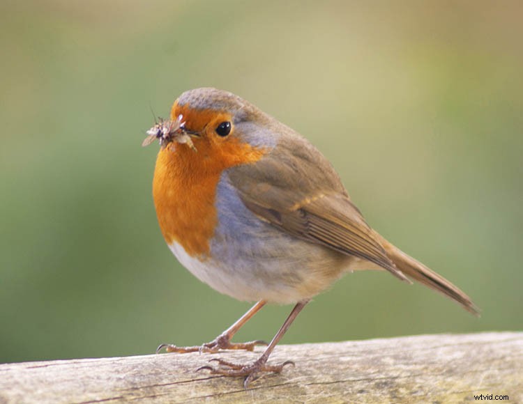 7 Pro Style Techniques to Elevate Your Photography from Master Artists