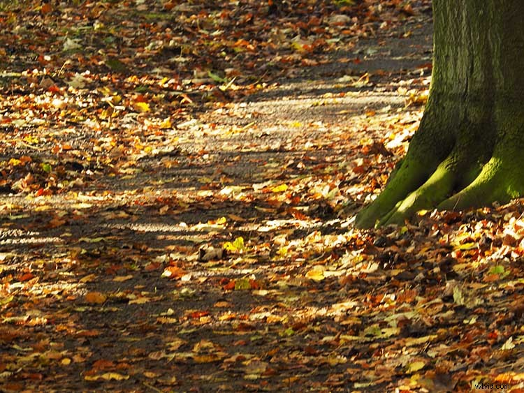 7 Pro Style Techniques to Elevate Your Photography from Master Artists