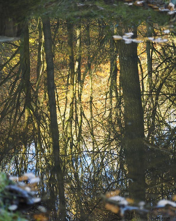 7 Pro Style Techniques to Elevate Your Photography from Master Artists