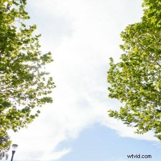 6 Essential Camera Bracketing Techniques: Types and How to Use Them