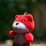 6 Essential Camera Bracketing Techniques: Types and How to Use Them