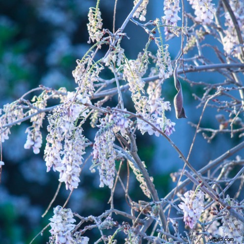 6 Essential Camera Bracketing Techniques: Types and How to Use Them