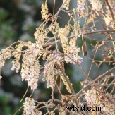 6 Essential Camera Bracketing Techniques: Types and How to Use Them