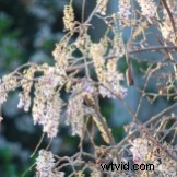 6 Essential Camera Bracketing Techniques: Types and How to Use Them