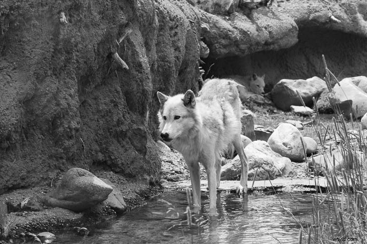 Are Photographers True Artists? Insights from a Grand Teton Adventure