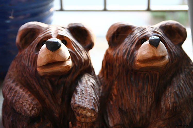 Tamron 24-70mm f/2.8 Di VC USD G2 Lens: In-Depth Field Test and Expert Insights