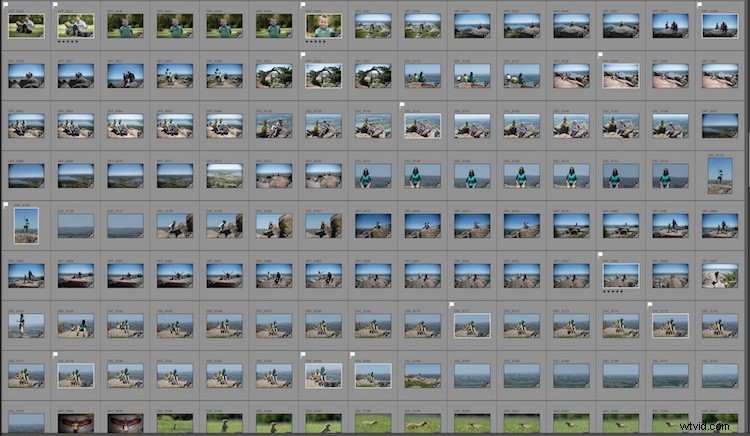 RAW vs. JPEG: Which Image Format is Best for Your Photography?