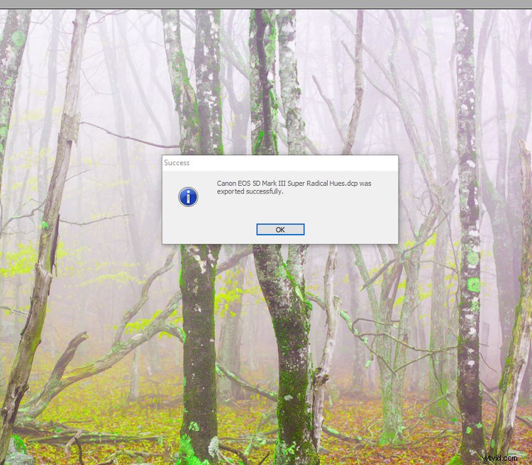Master Custom Camera Profiles with Adobe DNG Profile Editor: Step-by-Step Guide