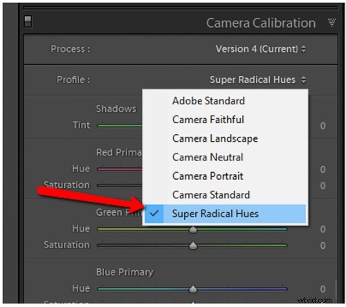 Master Custom Camera Profiles with Adobe DNG Profile Editor: Step-by-Step Guide