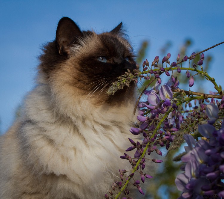 Transform Your Photos into Stunning Watercolor Art: Easy Step-by-Step Guide