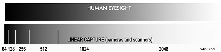 Master Image Tonality: The Science of Photography and Essential Technical Terms