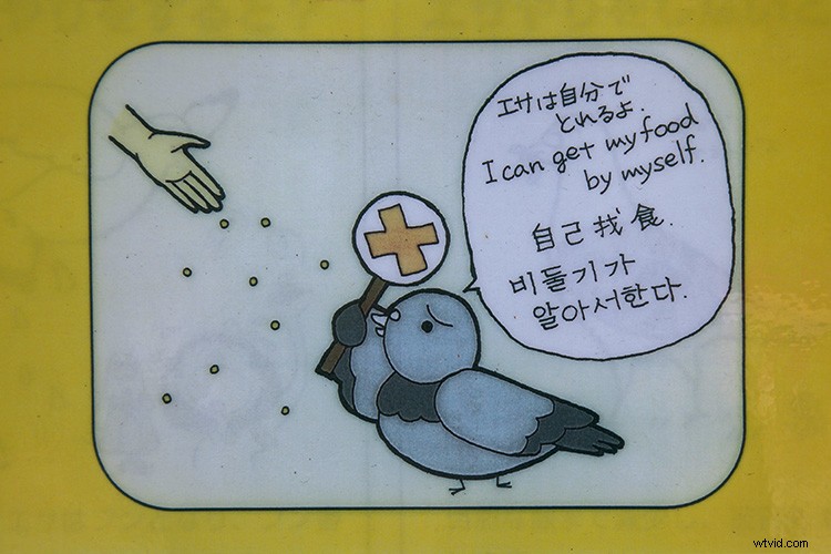 Easy DIY: Turn Your Photos into Custom Stickers at Home