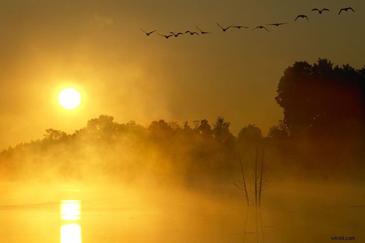 Master Light Fundamentals: Elevate Your Photography with Essential Techniques