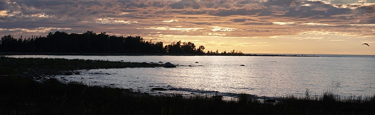 Master Light Fundamentals: Elevate Your Photography with Essential Techniques